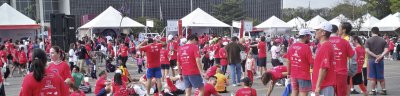 crowd